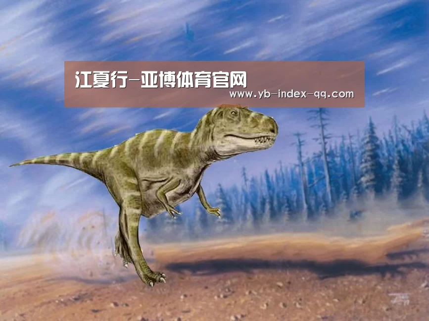 亚博体育在线
